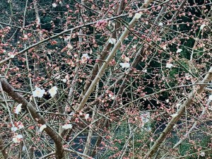 12023777-1DB3-408E-A15F-D3C1196DBC34