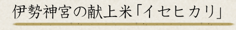 伊勢神宮の献上米「イセヒカリ」